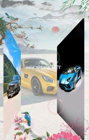 动感相册影集手机版