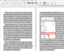 如何在Word文档中将两页合并成一页？