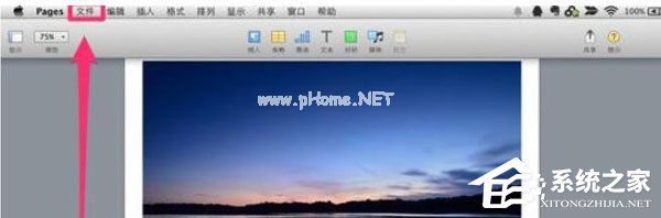 Pages怎么保存文档？