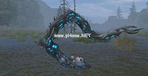 明日之后沼泽地图宝箱位置在哪 茅斯沼泽地图探索宝箱位置分布情况[多图]图片1