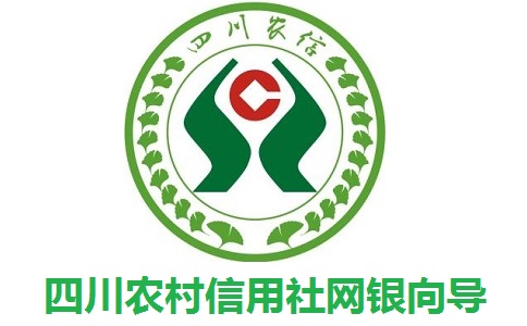 四川农村信用社网银向导1.0 官方版