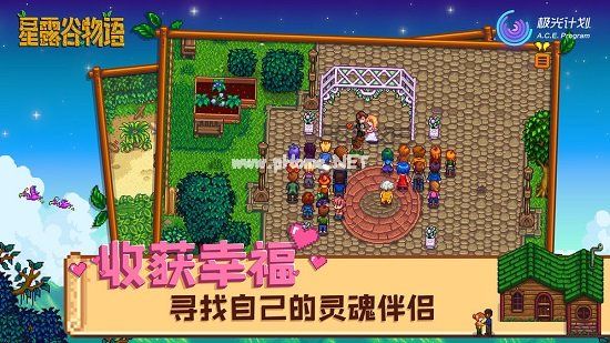 星露谷物语手游中文版