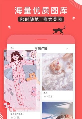 堆糖app最新版