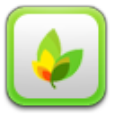 易视网页编辑器 v2.1 绿色版