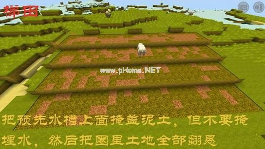 迷你世界梯田制造方法详解 迷你世界梯田该怎么制造？[多图]图片5