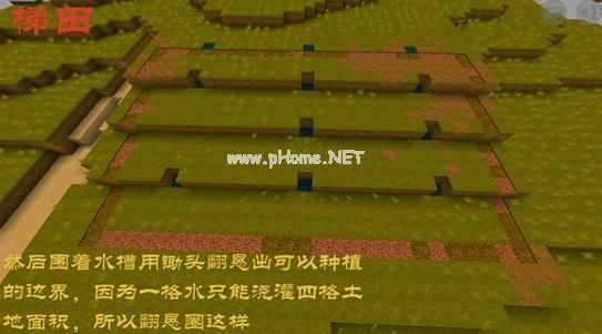 迷你世界梯田制造方法详解 迷你世界梯田该怎么制造？[多图]图片4