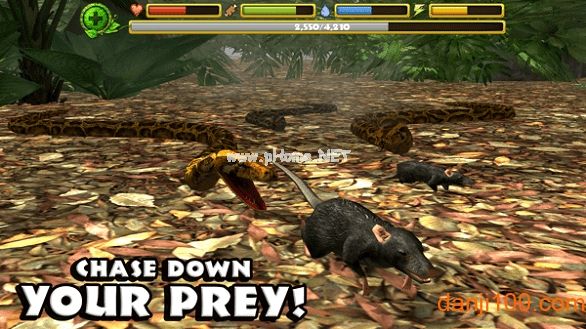 丛林蟒蛇模拟器2安卓版