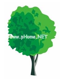 树的绘制