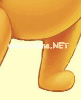 photo8
