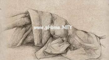 荒野求生手游白狼属性详解 荒野求生手游白狼属性怎么样？[图]图片1