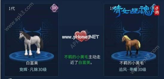 倩女幽魂手游高质量马匹获取攻略 倩女幽魂手游高质量马匹该怎么获得？[图]图片1