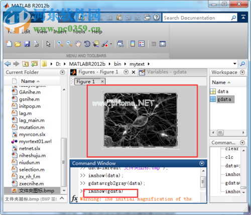 matlab灰度化处理教程
