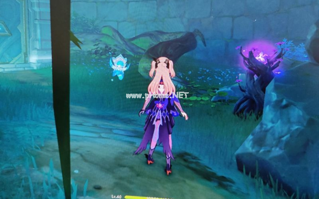 《原神》水月池池中宅邸水下解密攻略