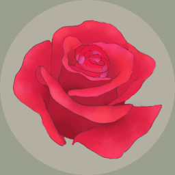 玫瑰花园中文版