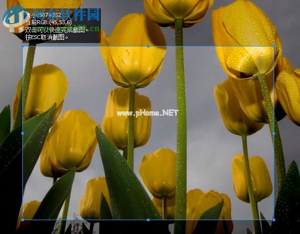 使用ScrToPicc截取图片的方法