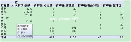 wps数据透视表怎么用？第12张