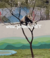 wps编号怎么自动生成？第2张