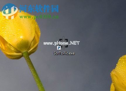 使用ScrToPicc截取图片的方法