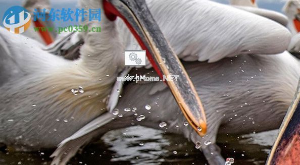 运行Win10版Office提示“这个应用无法打开”怎么办