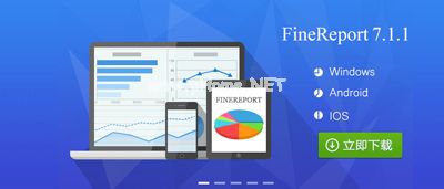 FineReport