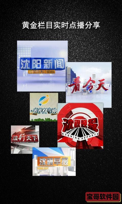 宝哥软件园