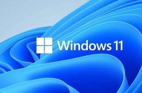 windows11 推荐的项目怎么关闭