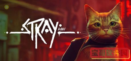 STRAY-1.jpg