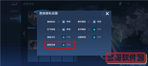 王者荣耀共享皮肤使用攻略