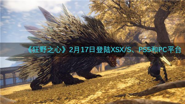 《狂野之心》2月17日登陆XSX/S、PS5和PC平台