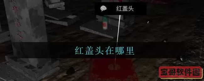 《孙美琪疑案：周芳》5级线索红盖头地点介绍