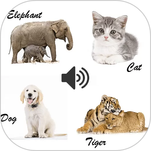 动物和声音app最新版