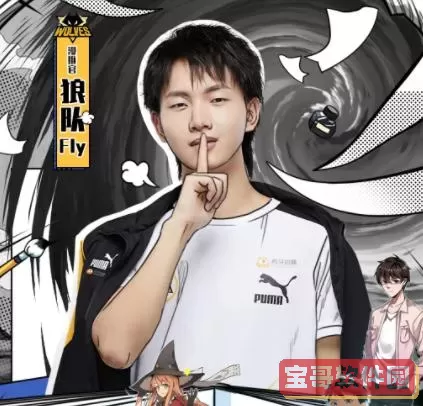 王者荣耀fly