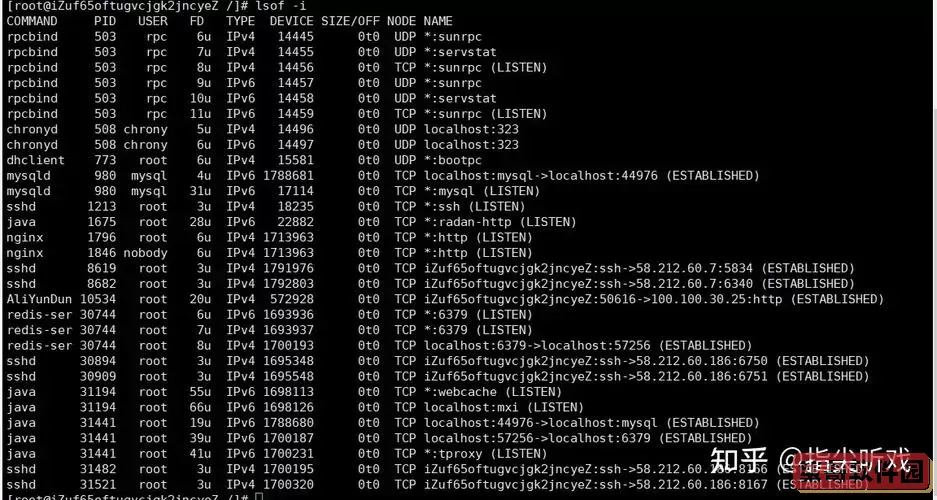 linux查看端口号使用情况图2