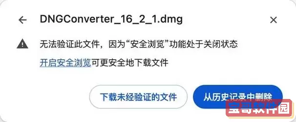 dng是什么格式文件图1