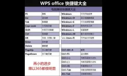 WPS办公软件下划线快捷键全解析与使用技巧总结