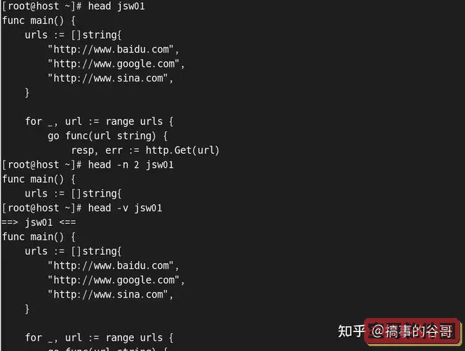 linux下运行可执行文件-linux运行可执行文件时报段错误图1