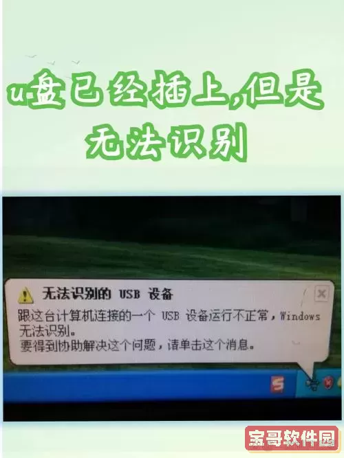 u盘格式化后插上没反应图1