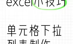 excel怎么建立单元格选项