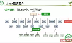 掌握Linux文件类型区分技巧，轻松识别各种文件格式
