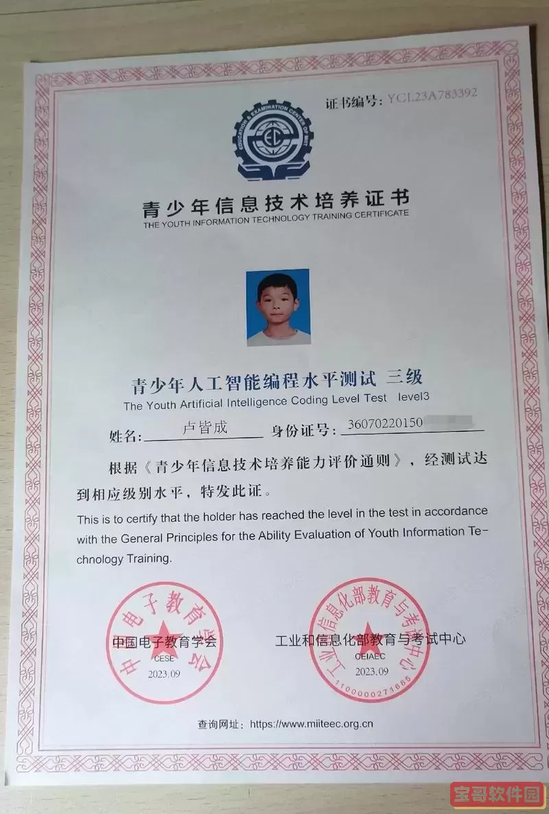 全国青少年编程能力等级考试-全国青少年编程能力等级考试成绩查询图2