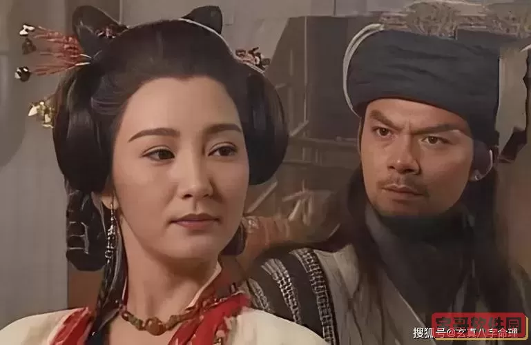 天龙八部康敏被阿紫毁容图2