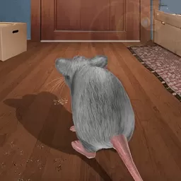 美食和老鼠