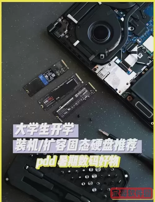 西部数据和三星的固态硬盘图2