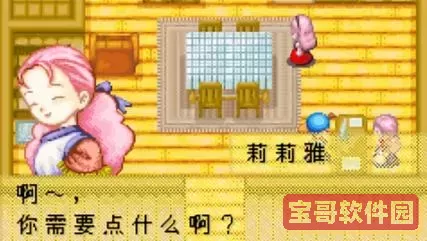 牧场物语矿石镇的伙伴们psp版本图1