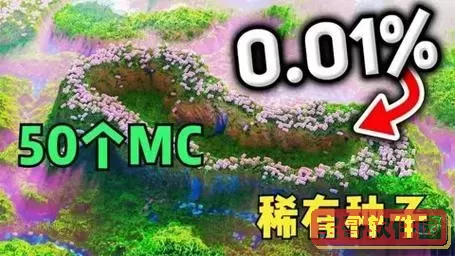 我的世界最稀有种子图2