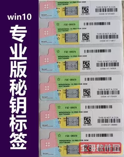 win10 激活码 专业版,win10专业版正版激活码图1
