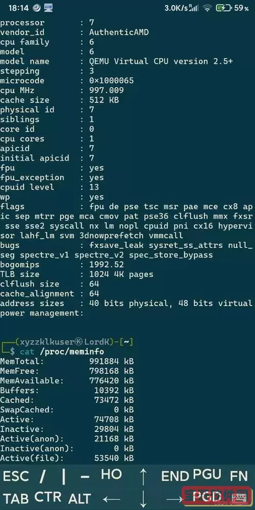 kalilinux手机版安装,kalilinux手机版官网图1