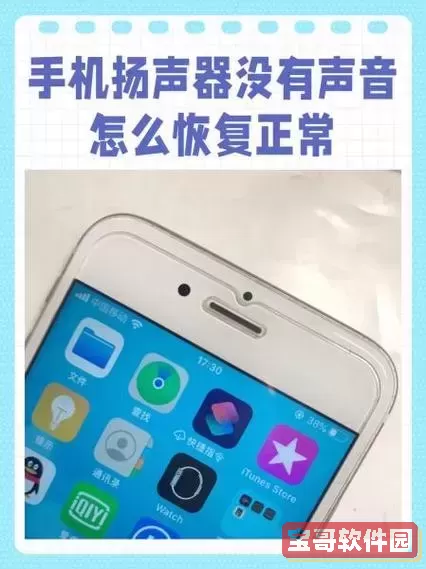 扬声器显示有声音但是听不到，扬声器显示有声音但是听不到是什么硬件问题图2