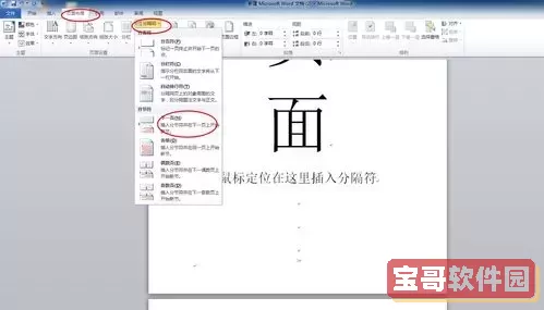 word2007怎样让第三页页码为1图1