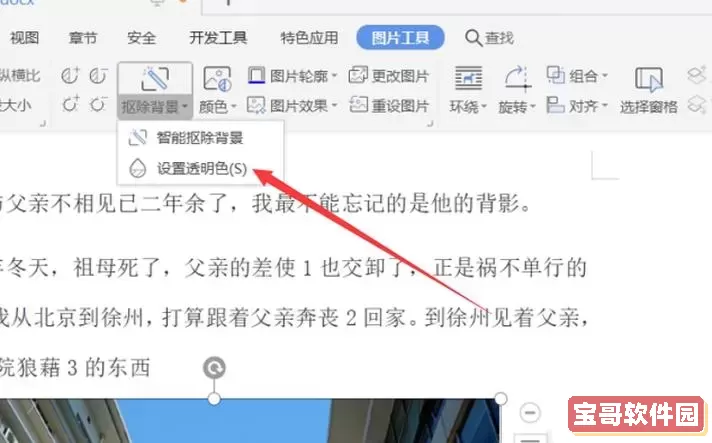 word中怎么让图片背景透明图1